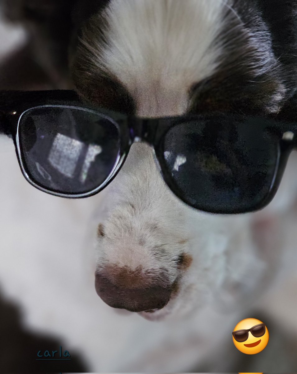 camera_bird's tweet image. Basil feels the Sumer vibes.