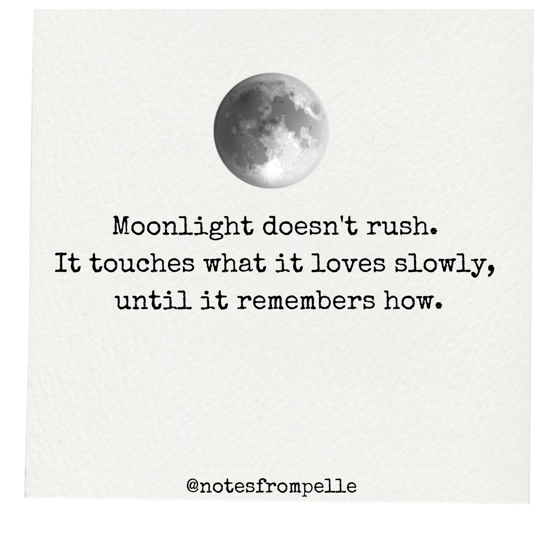 notesfrompelle's tweet image. Some kinds of love don’t come rushing in.
They arrive like moonlight: quiet, cautious,
learning the shape of you before they dare to stay.
Because love, like moonlight, listens first -
and learns before it touches.