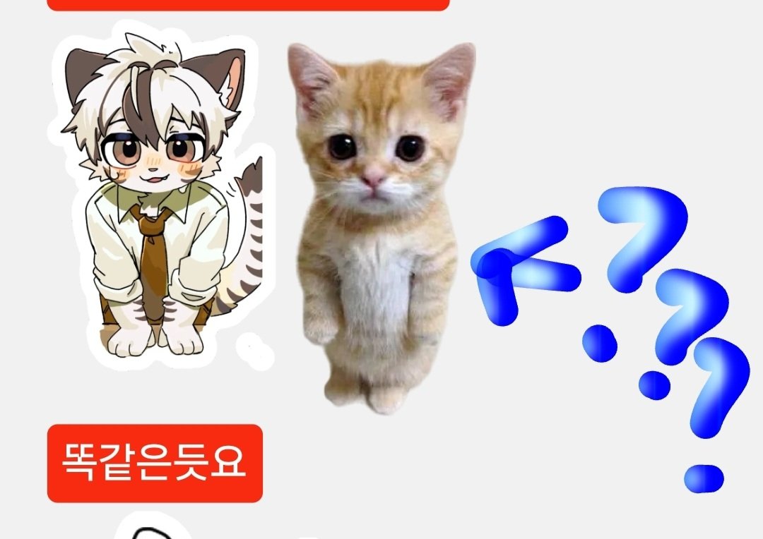 mojjibread's tweet image. 애옹이 아닙니다
아 아니라구요