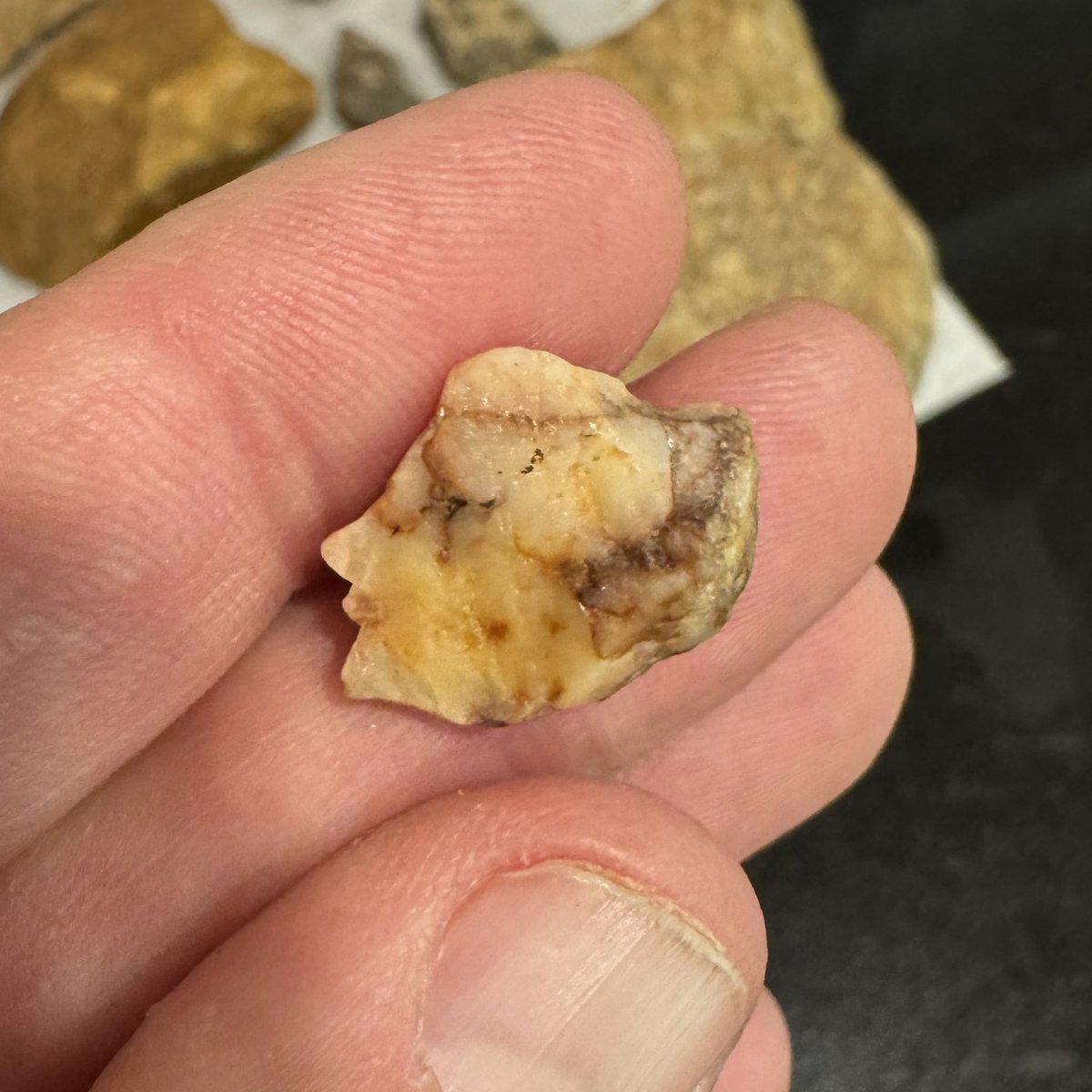 red_relics's tweet image. Even a piece of quartz this small was carved into the form of a human face. Meaning abounds. Lenape or their processors. SE Pennsylvania.