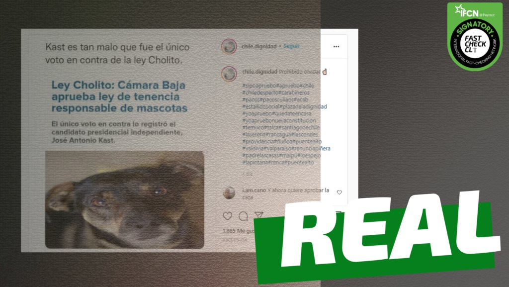 fastcheckcl's tweet image. 🗃️ #Archivo | Años atrás, se viralizaban publicaciones que aseguraban que José Antonio Kast habría sido el único diputado en votar en contra de la Ley Cholito. Tras investigar la historia de la ley, concluimos que esto era ✅#Real.
🔎 Lee más aquí 👇
fastcheck.cl/2021/10/22/jos…