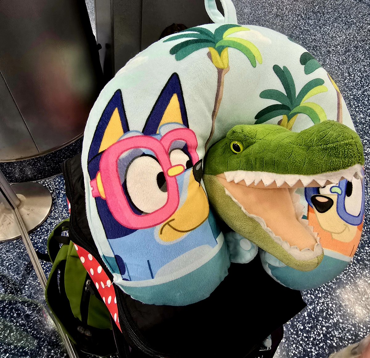 Gus the Gator (@goochlibrary) on Twitter photo I guess I'll come home. I could live on the beach forever, but I'd miss my Gooch Gators too much. ❤️ <a href="/goochelementary/">Tom C. Gooch Elementary</a> I guess I'll come home. I could live on the beach forever, but I'd miss my Gooch Gators too much. ❤️ <a href="/goochelementary/">Tom C. Gooch Elementary</a>