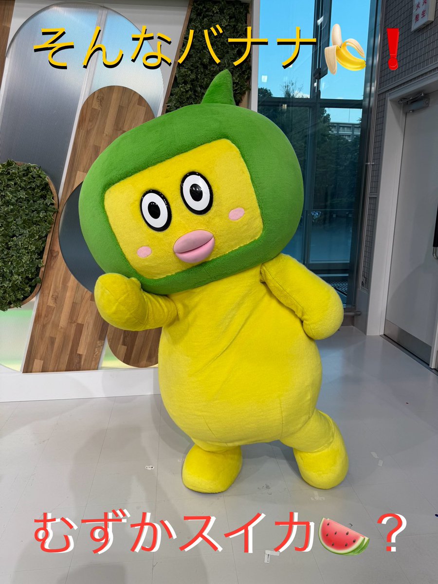 caesarTadashi's tweet image. 今日のクイズはむずかスイカ🍉?
さて、土日の宮城県は
✅(土)は☀️午後は雨の所も☂️
最高気温は今日と同じくらい🫠
仙台は猛暑日の連続記録が更新か?
✅(日)も晴れるが雲も広がりやすい🌤️
危険な暑さが続く🥵
とくにお出かけする人は熱中症に警戒を🚨
#やっぺぇ #てれまさ #宮城県