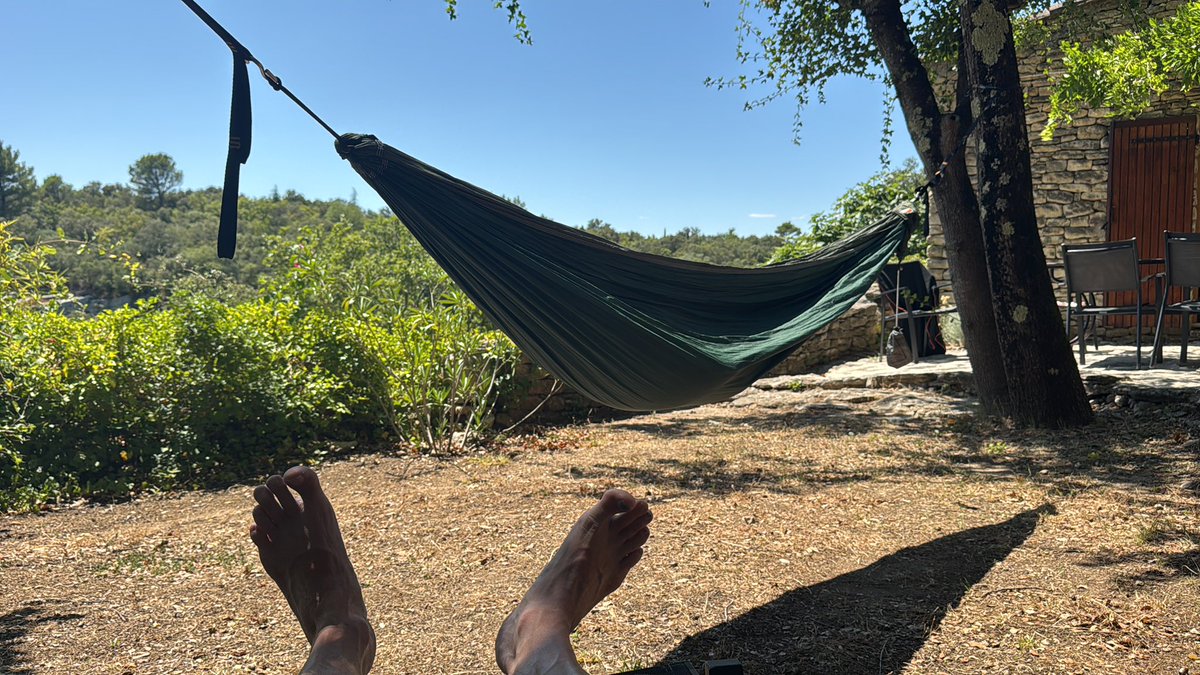 The view OF my hammock #changingitup