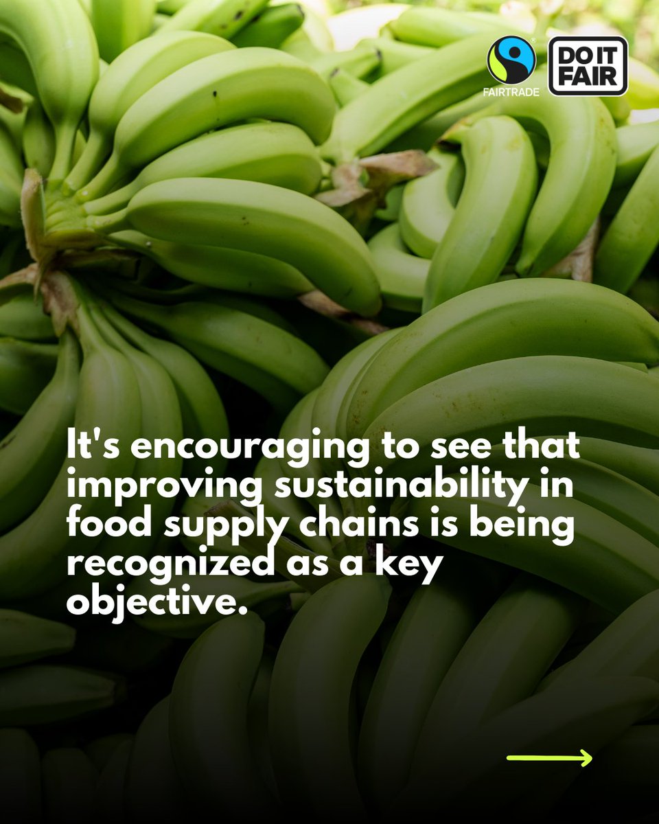 FairtradeUK's tweet image. 🚨 Food strategy thoughts: Great to see sustainability on the agenda. But without clear steps, it’s just talk. We need action!
Read our full comment 👇
#FoodSystems #Sustainability #FairTrade #Fairtrade