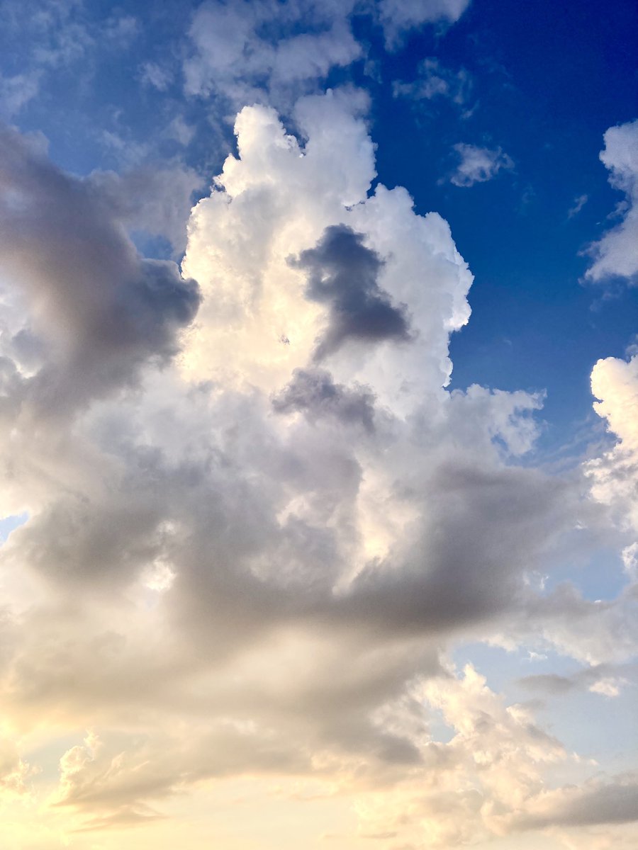 tamon_farm's tweet image. 菩薩✨✨🙏