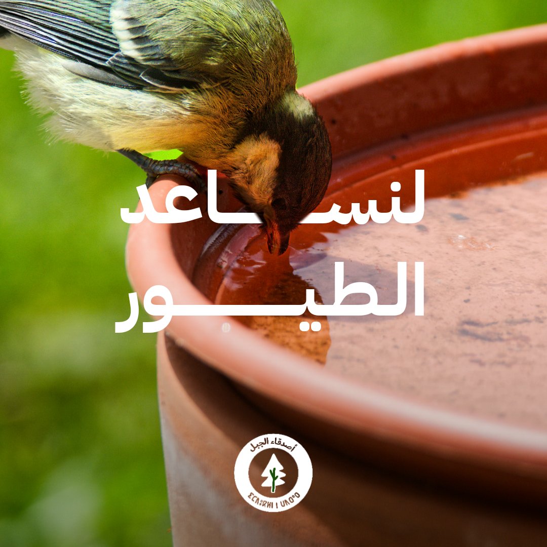 Mountain_ly's tweet photo. كل صيف الأشجار تقلّ… والطيور تفقد ظلّها ومكانها.
في موجات الحر، تذكّرهم بوعاء ميّة تحت ظل 🌳💧
لأن "هذا كوكبهم أيضًا."

🌱 اغرس شجرة
"في كل كبدٍ رطبةٍ أجر."

أصدقاء الجبل 🌲 ⵉⵎⴷⵓⴽⵍⵏ ⵏ ⵡⴷⵔⴰⵔ https://t.co/4caRa3A5ds