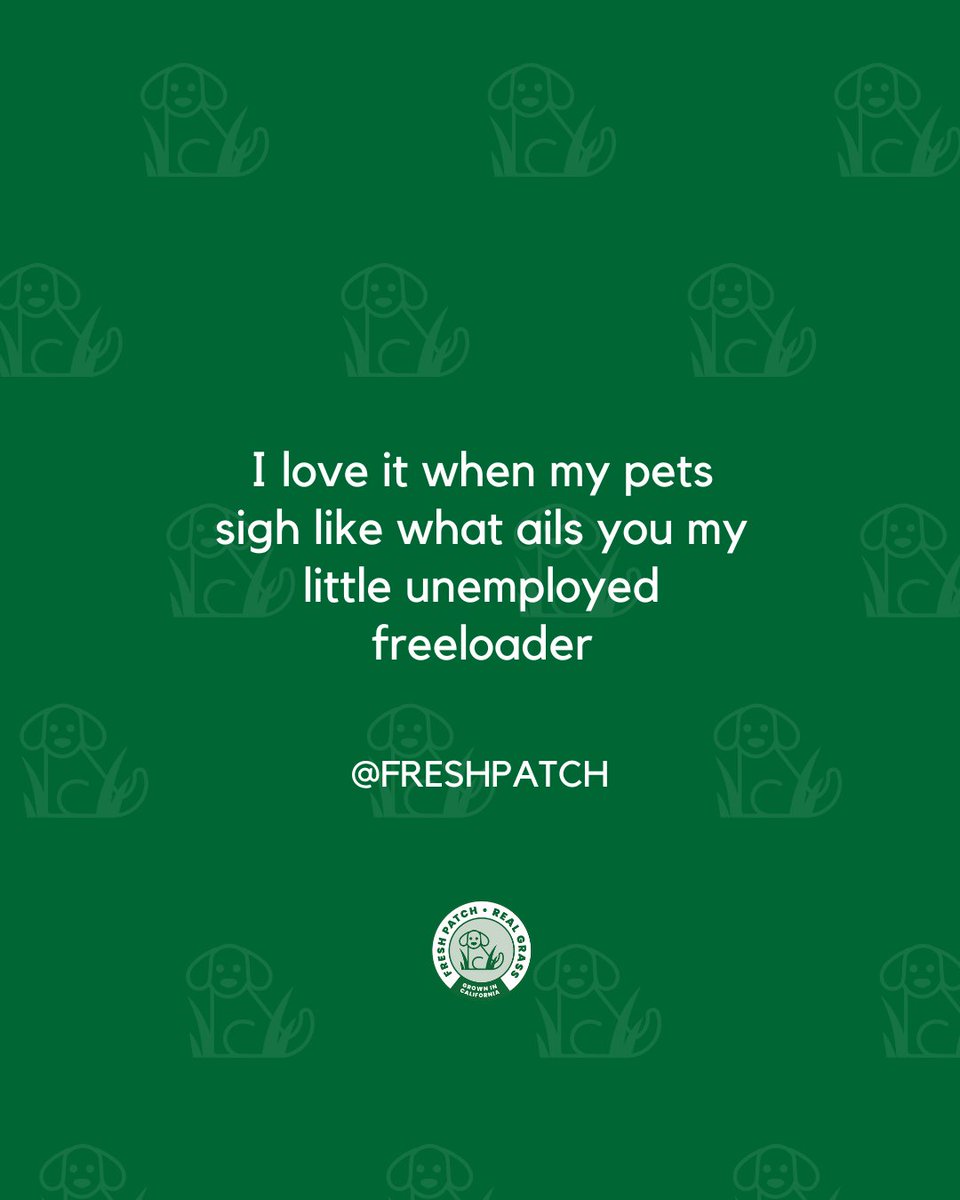 FreshPatch's tweet image. It's been a ruff day of no work 😂⁠
⁠
#FreshPatch #FunnyPets #PetParent