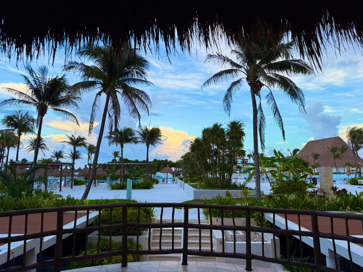 Gm from Cancun 🍹