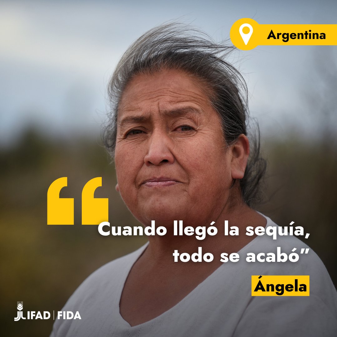 IFADespanol's tweet image. Para Ángela, la sequía que golpeó su región rural en #Argentina amenazó una larga tradición de ganadería.
Las cosas cambiaron cuando un proyecto apoyado por el FIDA intervino, proporcionando insumos para revivir el sector y un dar un nuevo sentido de esperanza.