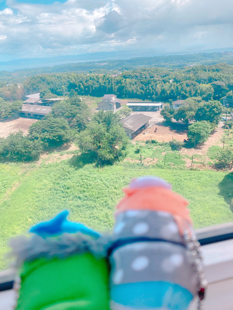 uroobo_a's tweet image. 夏ーモニーランドたのしかったね🍨💙💛