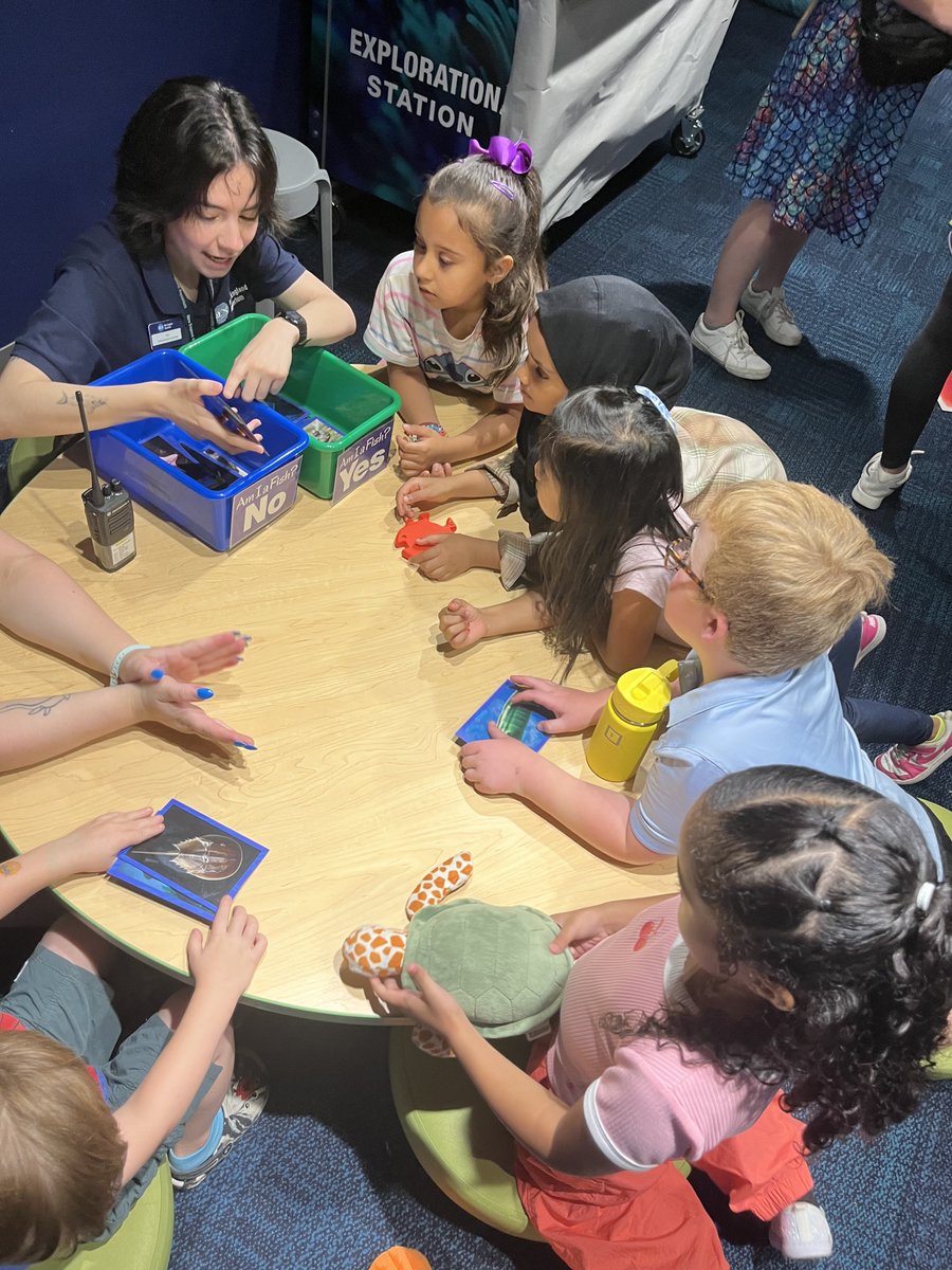 Bradley Banner - Summer Edition 🕶️ - mailchi.mp/c7b931b1c45c/b…