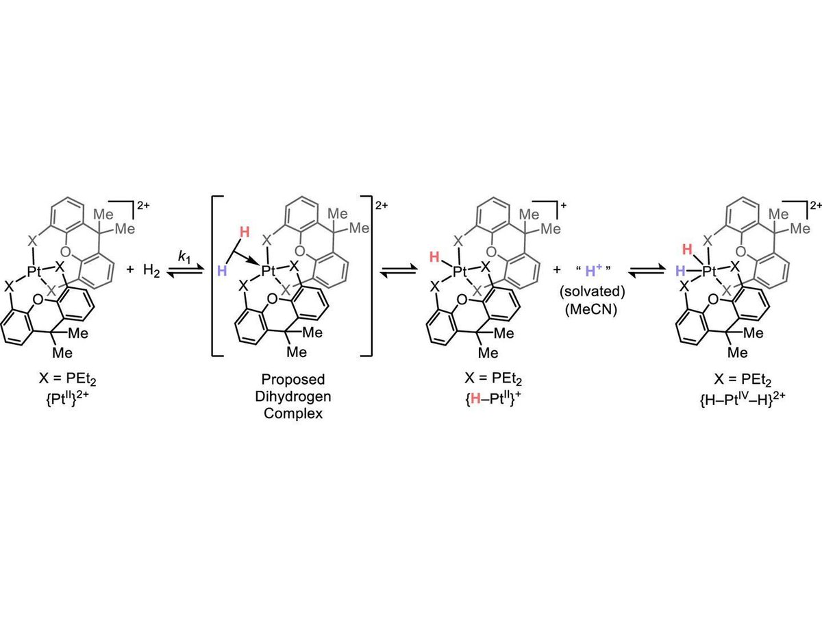 FutureFactual's tweet image. 🔍 Read: Speeding up chemical reactions is key to improving industrial processes or mitigating unwanted or harmful waste. Realizing these improvements requires that chemists design around documented reaction pathways.
phys.org/news/2025-07-u…