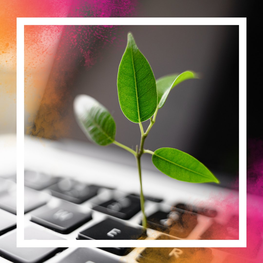 SheCanCodeHQ's tweet image. Did you know your daily digital habits impact the planet? From streaming to video calls, our actions add up - consuming energy behind the scenes.
Dr. Anastasia Dedyukhina from @ConsciDigital explains why sustainable digital habits matter for all.
π bit.ly/3ZRKlYz