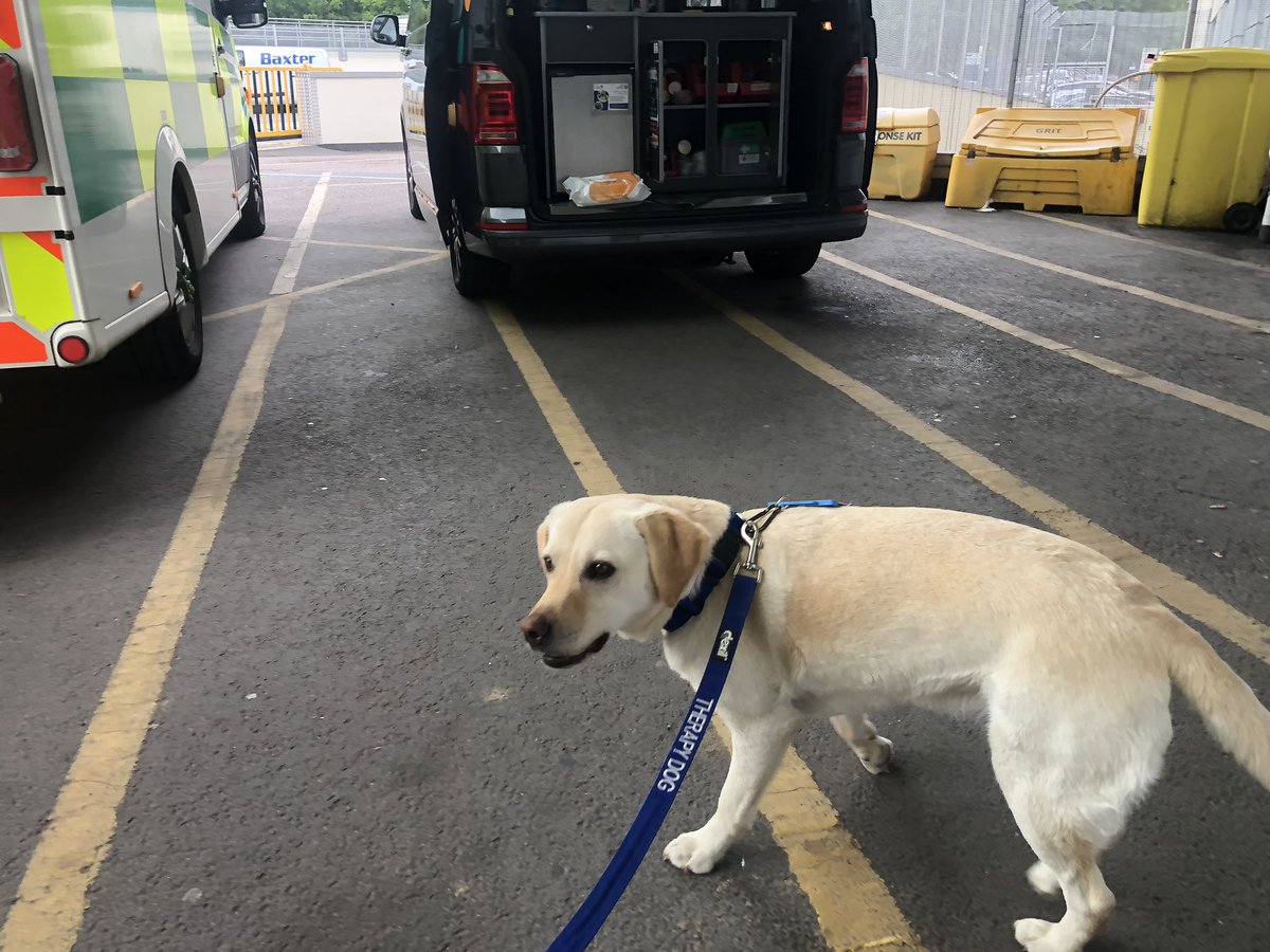 Chappers2013's tweet image. The lovely Daphne from @essextherapydog has arrived! π₯°
Smiles al round ππ
The difference a happy dog can make π