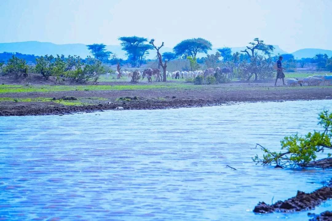 Abdirahman155A's tweet image. Duleedka Magaalada Qaraf ee xarunta degmada daymeed gaar ahaan nawaaxiga dixda Dhawaac diid.