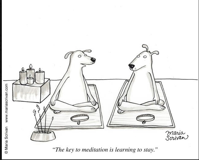 A smile for your Friday. 😊

#MindfulnessMoment #Stay #Meditation