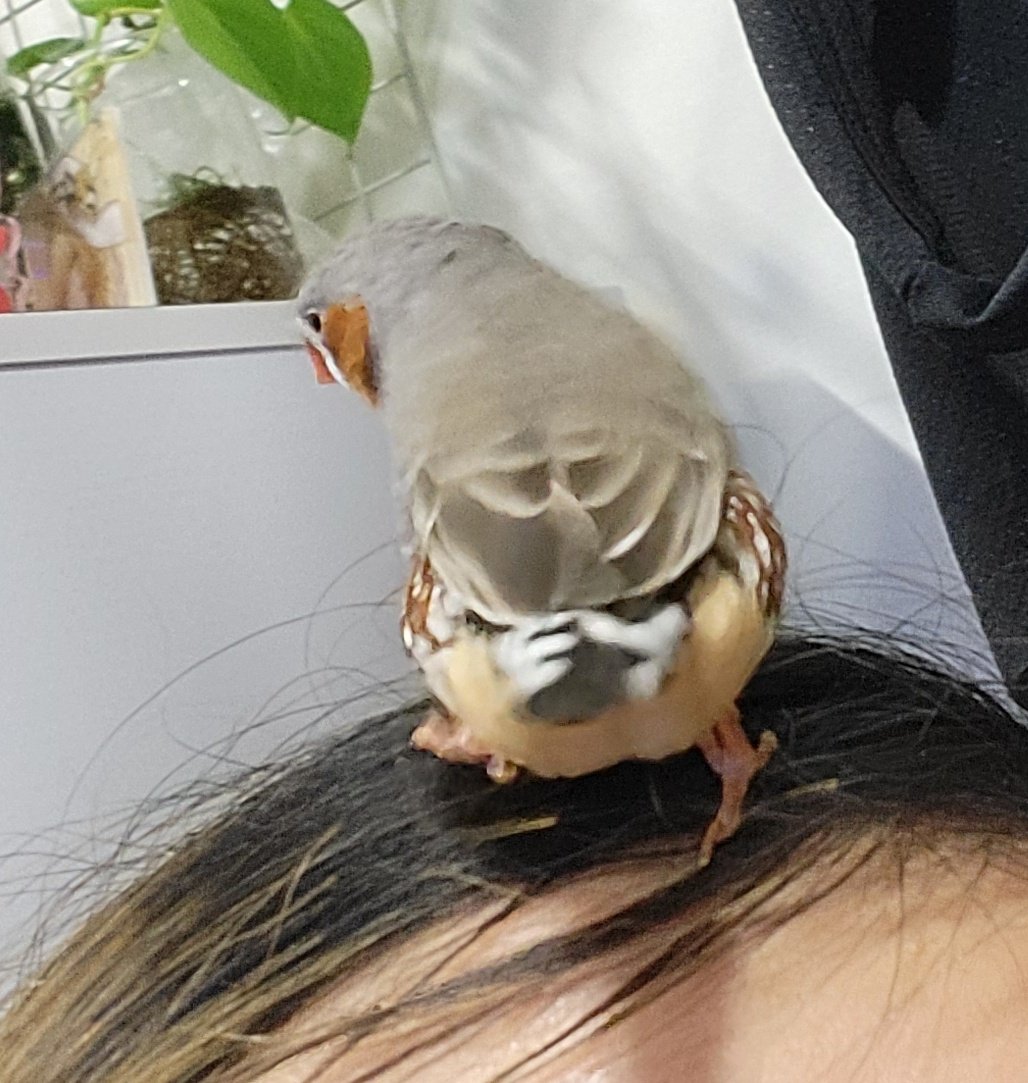 small_dduck's tweet image. 이번달 진짜 정신 쏙빠지게 힘들었다..