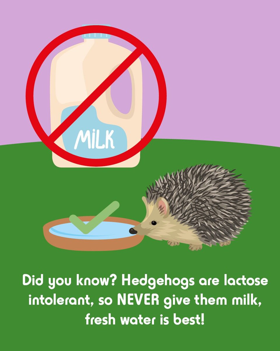 Spike's Food tweet media