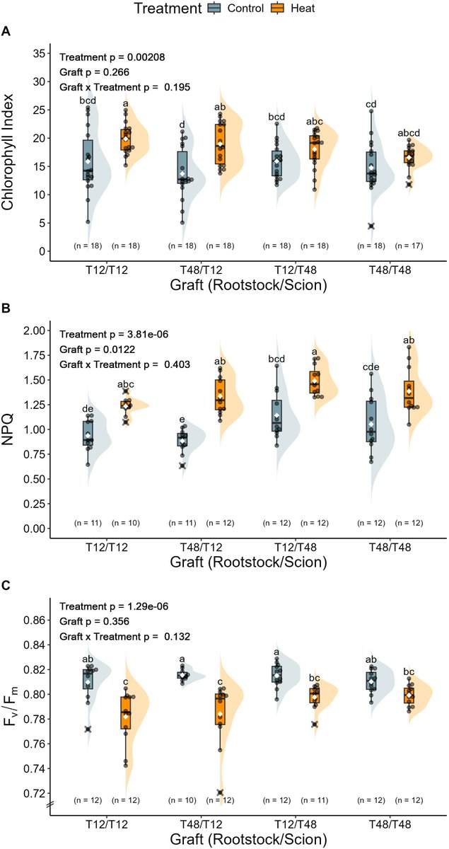 sci_plant's tweet image. Strike at the root: exploring the transferability of heat stress tolerance in tomatoes by reciprocal grafting
frontiersin.org/journals/plant…
♻️