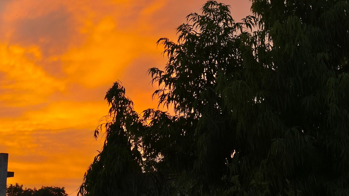 soon it’ll be august again