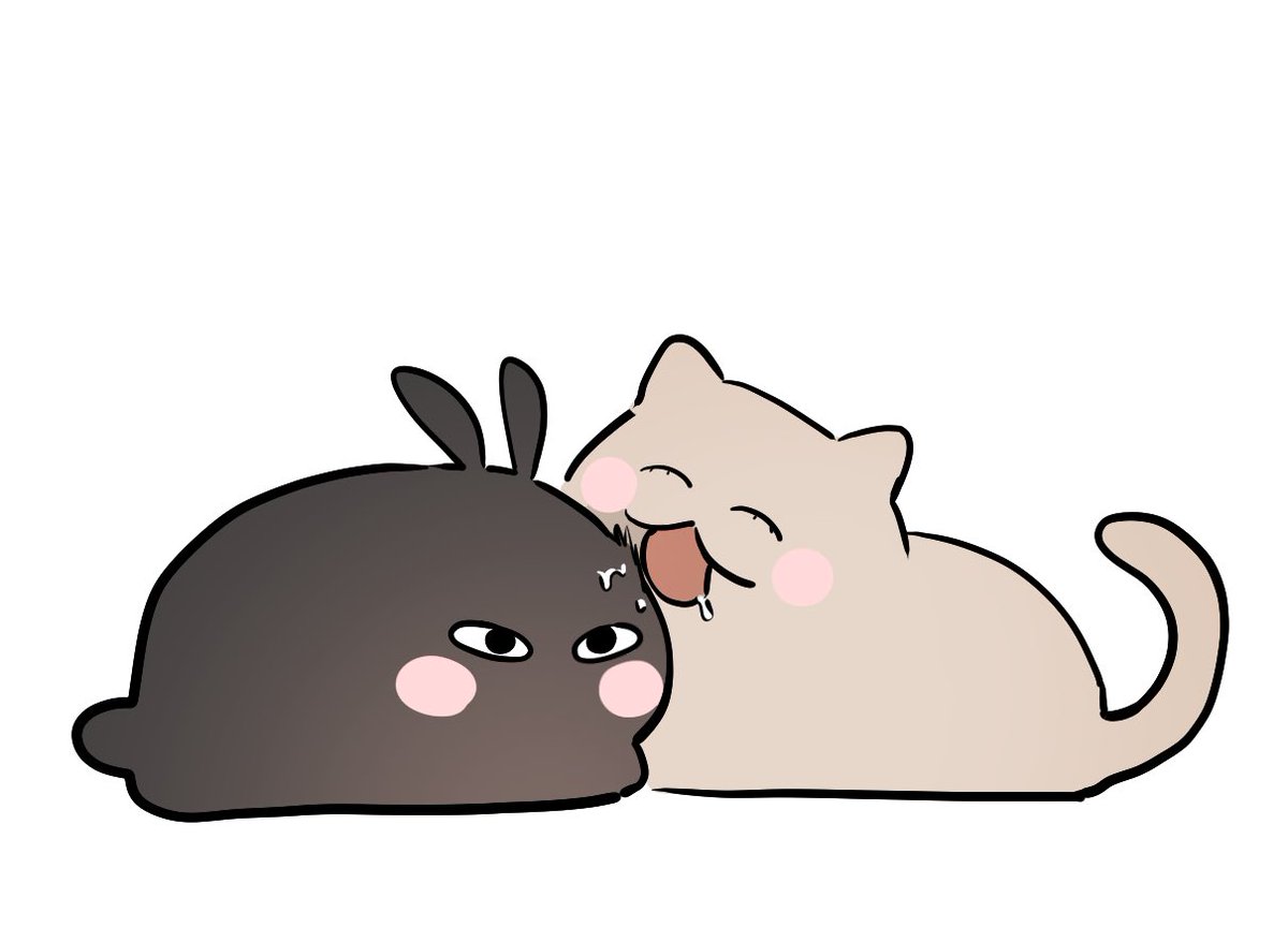 チャンコーページです♡♡ 락스퍼Larkspur🐬 (@lotus_9431) / Posts / X