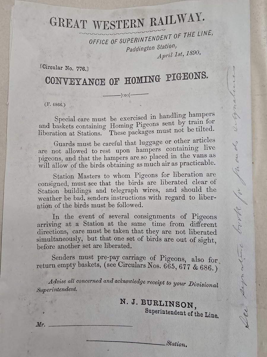 TurnipRail's tweet image. I'm spending a day in the National Archives and stumbling on interesting stuff.
Without the railways, there would likely have been no pigeon racing. As this Great Western Railway circular from 1890 shows, station staff had responsibility for "liberating" the pigeons. #Railway200