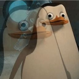 You bought the $49 course

And it just says, comment 40 times a day