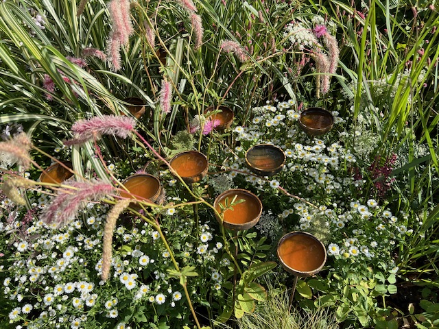 BernhardsPlants's tweet photo. New email for customers on our work at RHS Wentworth #Flower Show producing #peatfree #plants for Paul Hervey-Brookes' RNIB Legacy Garden and an offer for customers purchasing at our Cash &amp; Carry in August  https://t.co/9PXnUpMXPh https://t.co/It9hcLttYw