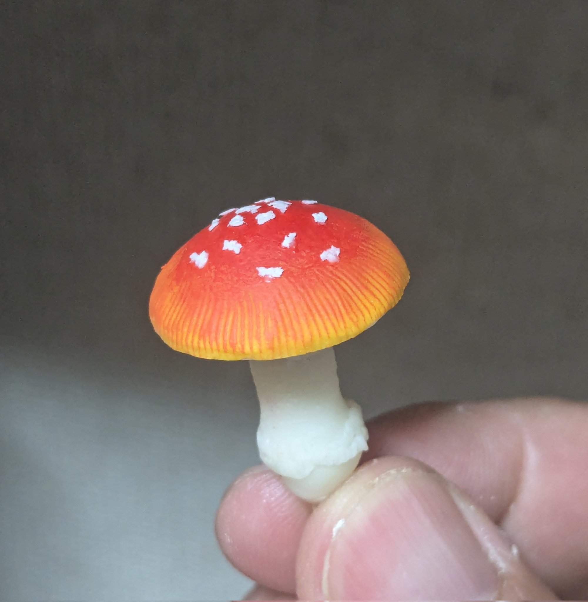 キノコっコ　ページ 散策雑記14-7