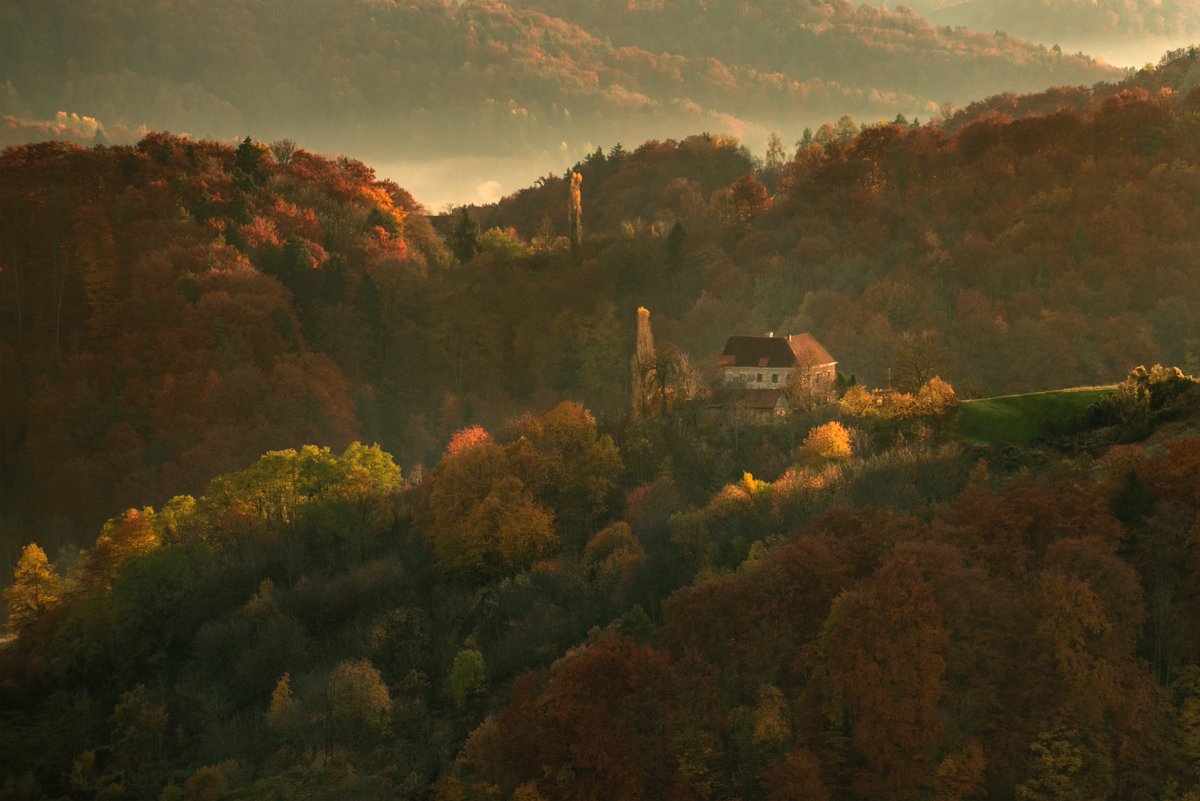 JureYurko's tweet image. Autumn