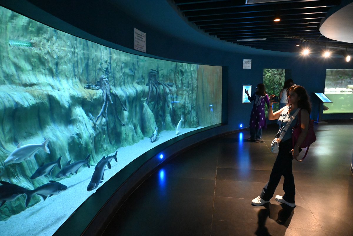 GujScienceCity's tweet image. 🐠🐟 Aquatic Galleryની મુલાકાતે આવેલા વિઝિટર્સે માણ્યો અનોખો અનુભવ — જ્યાં સમુદ્રની રહસ્યમય દુનિયા જીવંત બને છે!

📸 તમારી પણ એક તસવીર અહીંની યાદગાર પળ બની શકે છે!

#AquaticGallery #ScienceCityAhmedabad #UnderwaterWorld #VisitorExperience #STEMLearning #MarketingPurpose @PMOIndia