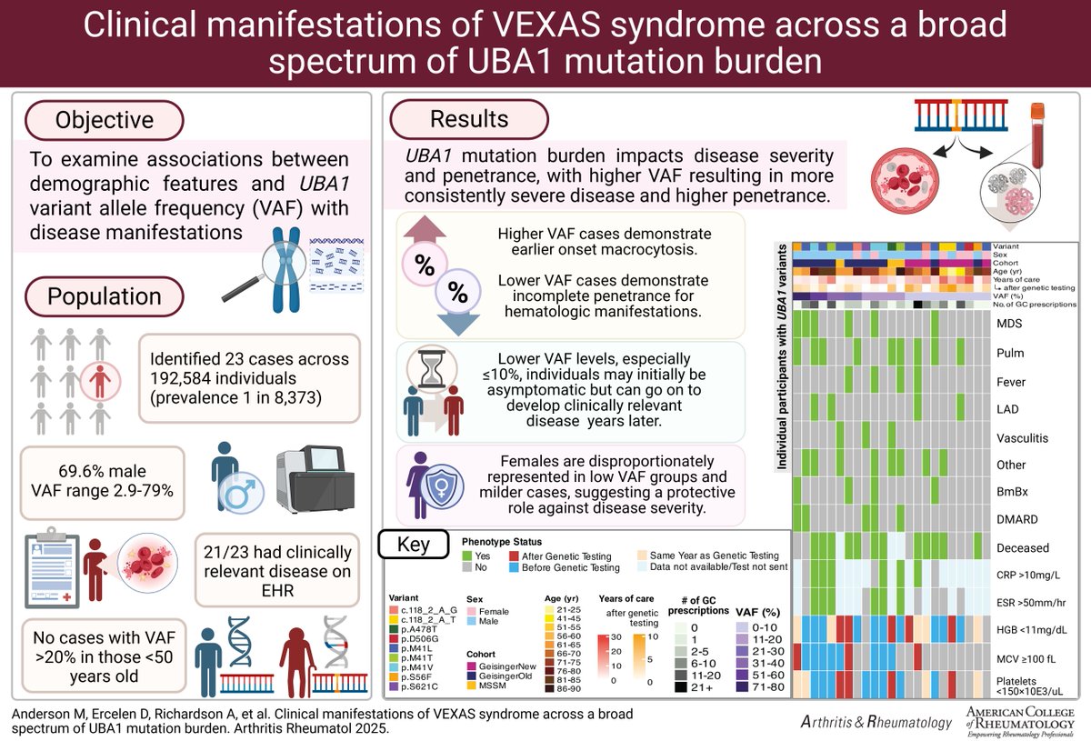 ACR_Journals's tweet image. Analysis of whole-exome seq data from MyCode & BioMe biobanks investigated assoc between UBA1 VAF and VEXAS disease manif. Results showed ↑VAF resulted in more severe disease & higher penetrance, while ↓VAF had incomplete penetrance & milder disease
A&R
doi.org/10.1002/art.43…