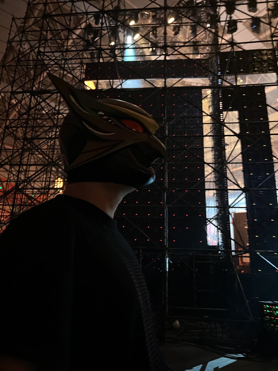 owltree_pvq's tweet image. 