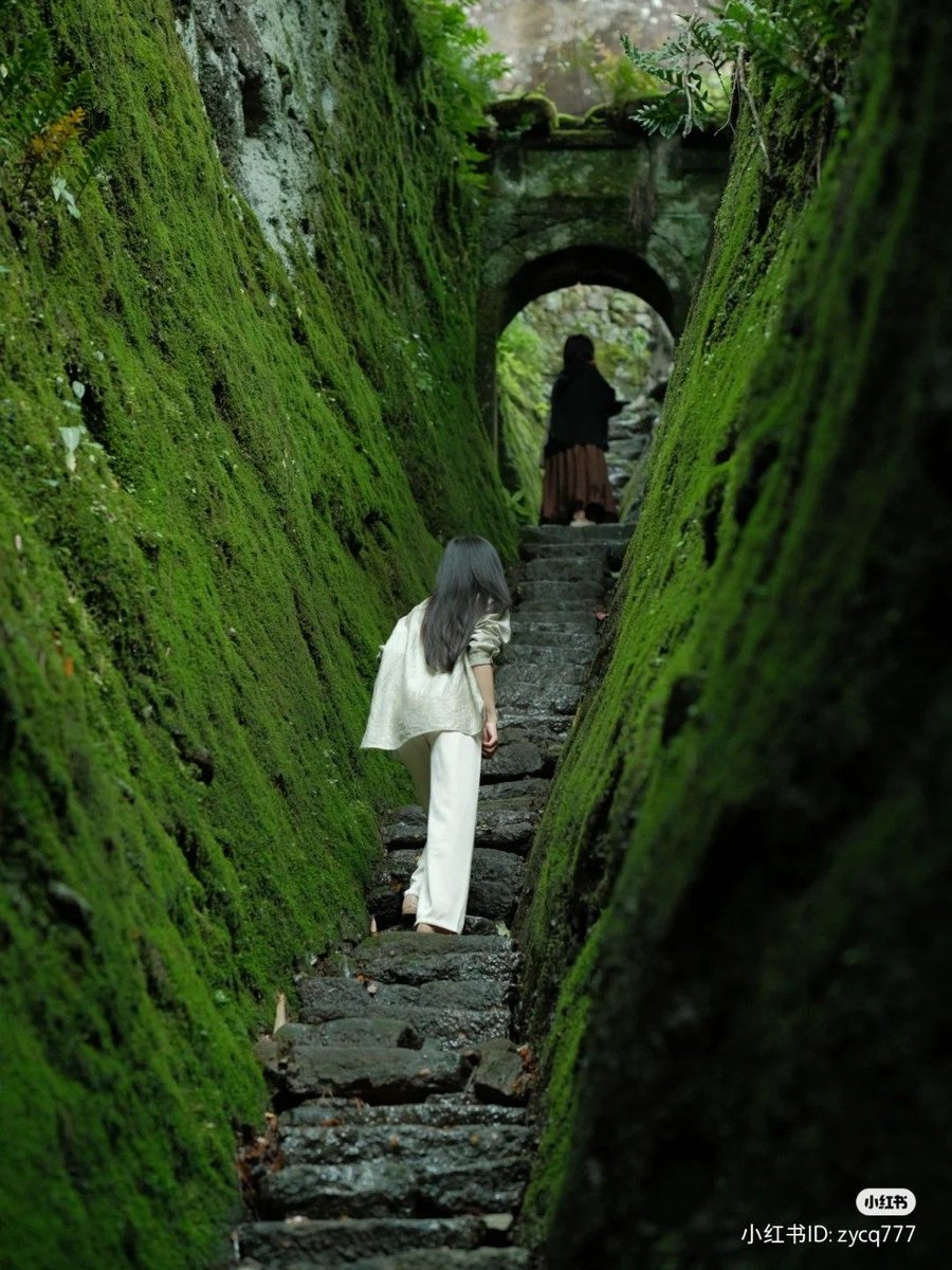 EasternAesth's tweet image. Follow the white rabbit🐇