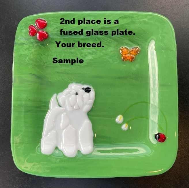 Stained Glass tweet media