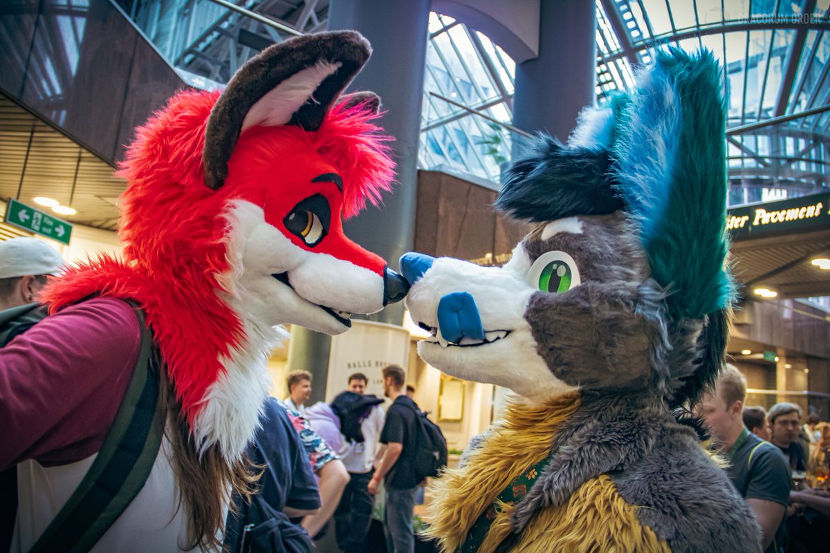 Leggy and leg-fox, living in harmony! #FursuitFriday
📷: <a href="/DracorumOrder/">Dracorum Order 🧧</a>