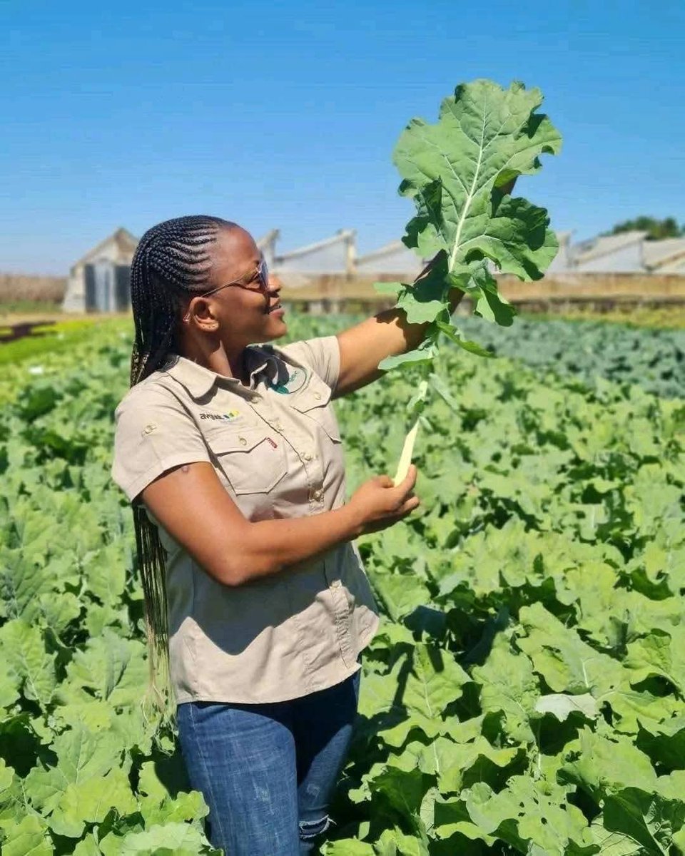 Farming 🧺 is the only hustle that remains 🤘✌️