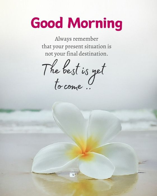 Emma04526441's tweet photo. Good morning https://t.co/eZWxGocYV6