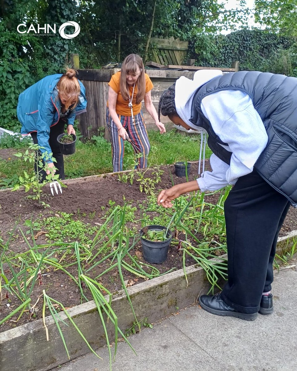 cahn_uk's tweet image. Are you seeking ways to manage stress, anxiety, low mood, depression, or social isolation? Are you in need of creative social outlet?
Join the Caribbean and African Health Network for creative and relaxing Green & Art activities in Bolton: Every Wednesday, 2pm โ 4pm, at Stโฆ