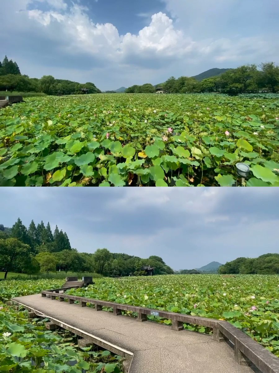 dxd_wow's tweet photo. https://t.co/o9pPI2rIYc