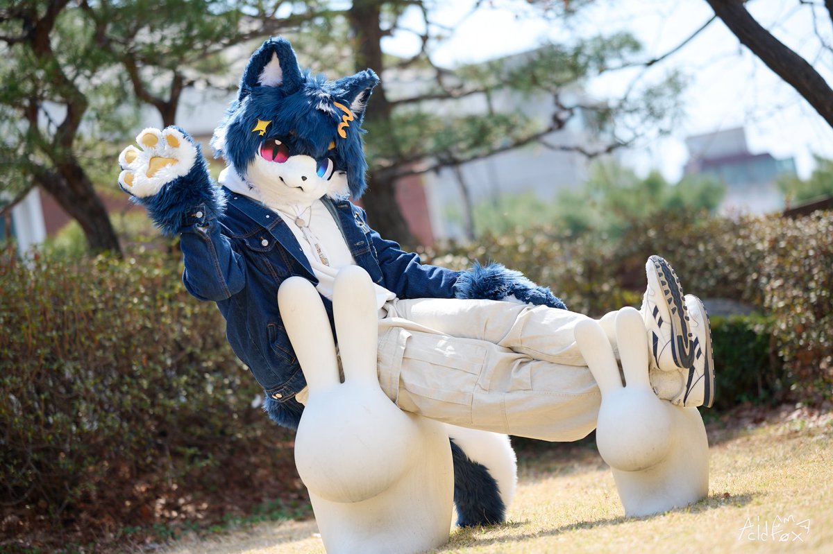 #FursuitFriday #아르고뭐하냥

아르고가 처음 집에 오고 지구가 태양을 한 바퀴 돌았습니다^~^v
두 바퀴, 세 바퀴 돌 동안에도 함께할 수 있기를!!

📸 : <a href="/_f0x15/">산여우 AcidF0x</a>