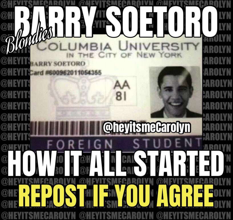 This FRAUD👇