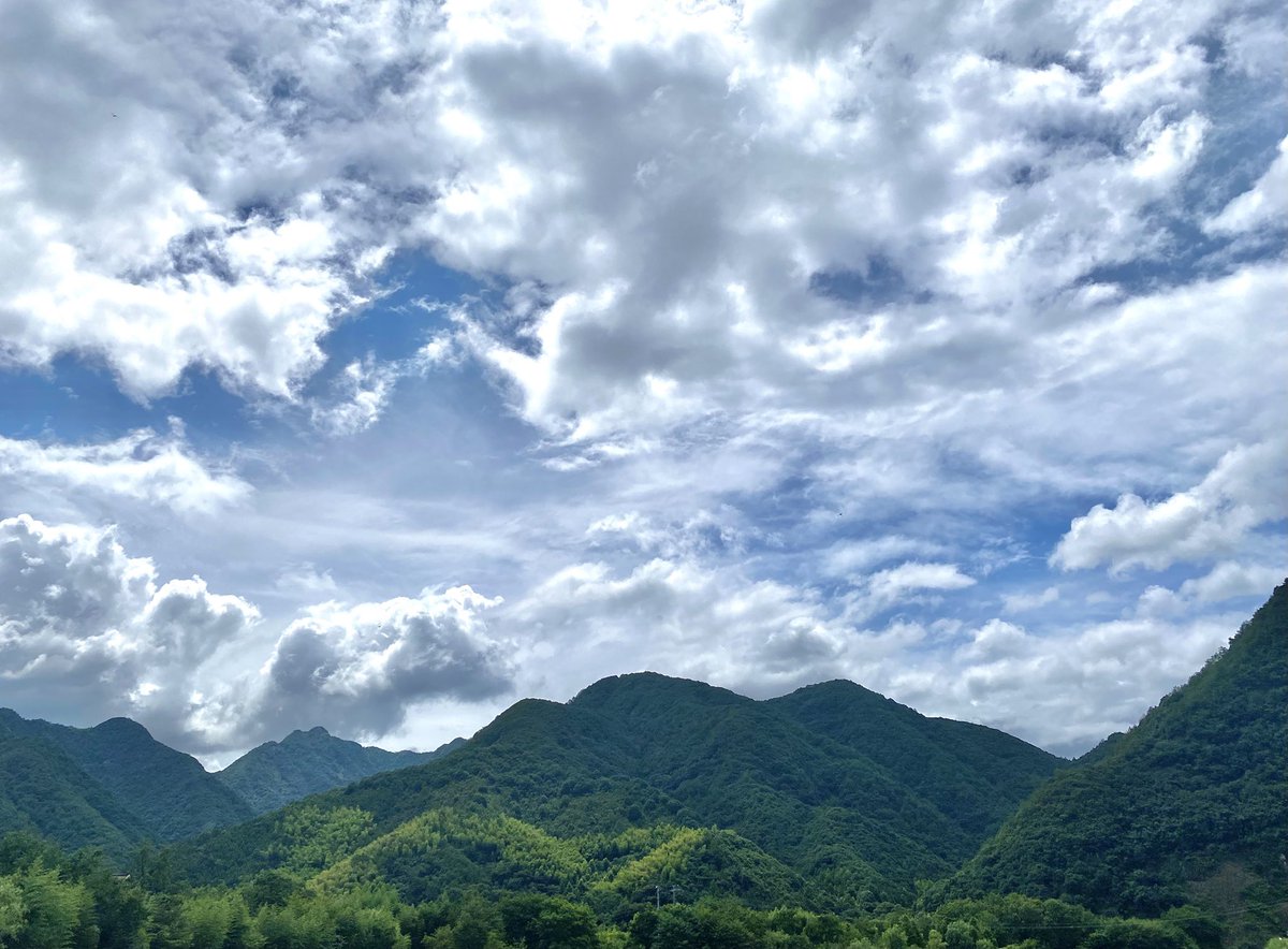 dxd_wow's tweet photo. https://t.co/J8aEU2e6pC