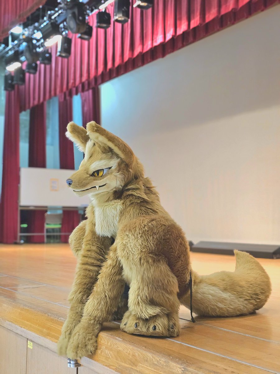 あろっくイケメンすぎた
お座りの時の人との距離感近い感じめっちゃ好き
 #ケモノデイズ