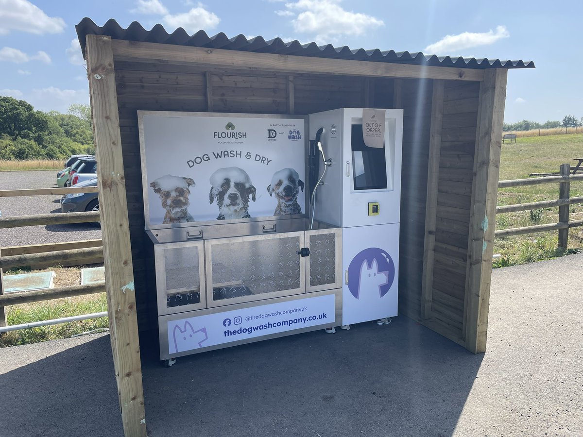 Daisy Dog tweet media