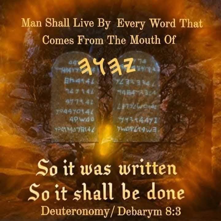 FortheLOVEofYAH's tweet image. 