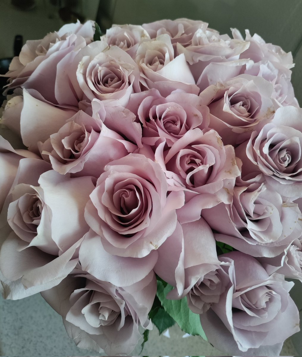 adi8a's tweet image. 🙈🤍