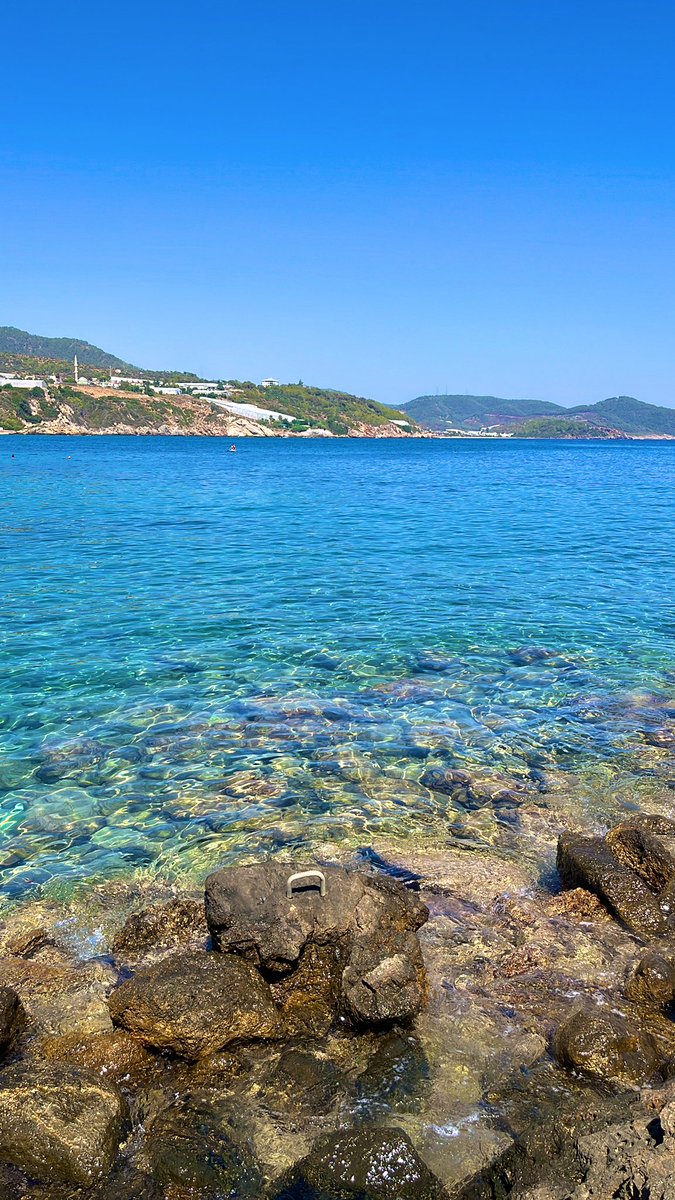 Yine bir tane bile tutamadık 🥳