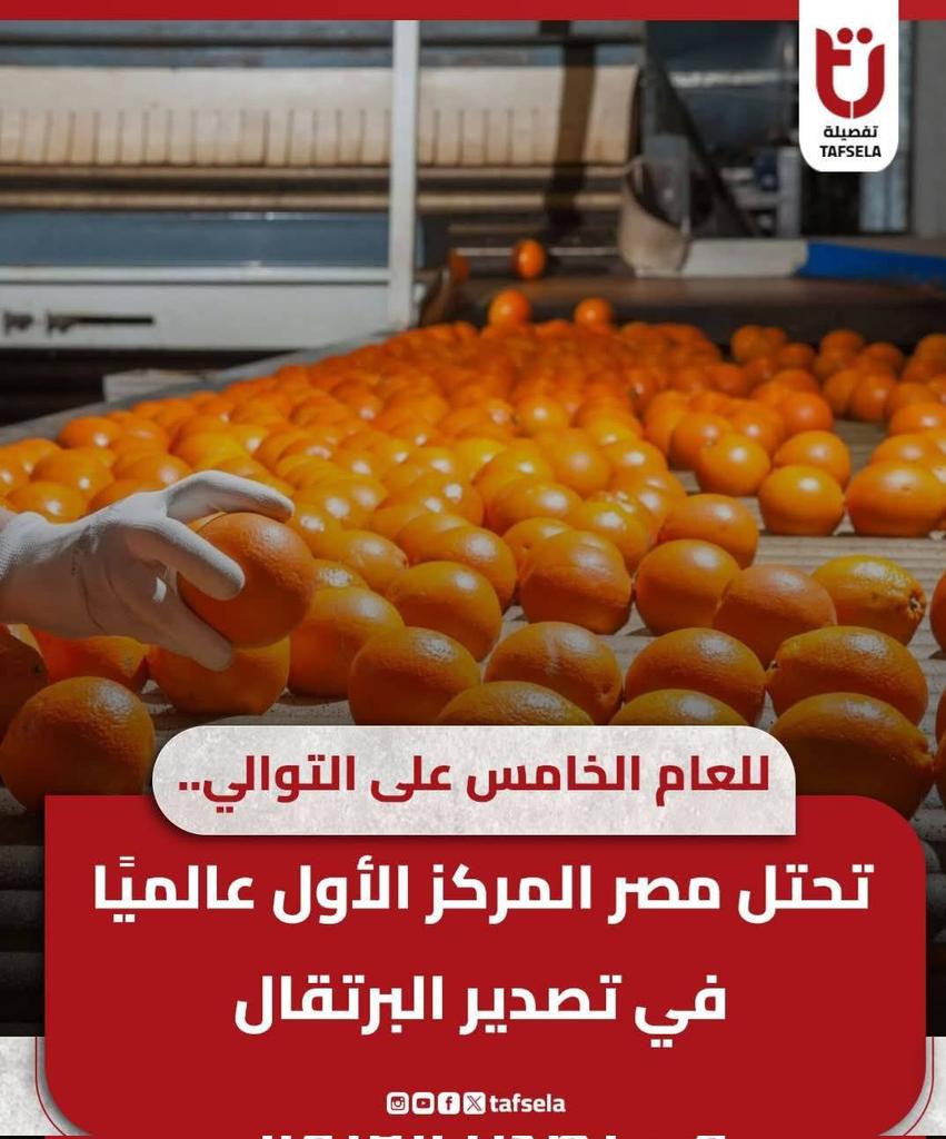 مــد(🇪🇬مـصـر🇪🇬)نــيــة tweet media